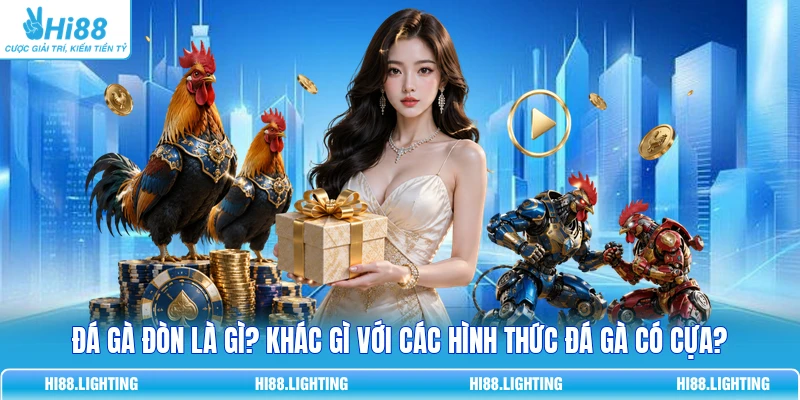 Đá Gà Đòn Là Gì? So Sánh Chi Tiết Với Đá Gà Có Cựa Đá Gà Đòn Là Gì? So Sánh Chi Tiết Với Đá Gà Có Cựa 2026