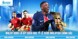Malay Odds Là Gì? Cách Đọc Tỷ Lệ Cược Malaysia Chính Xác