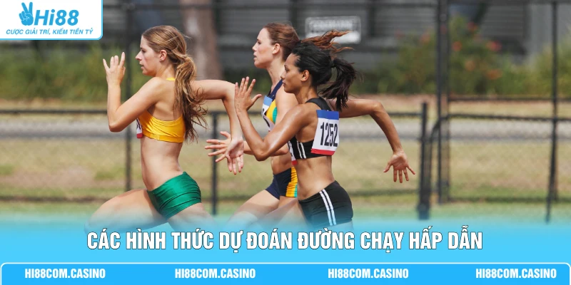 Các hình thức dự đoán đường chạy hấp dẫn