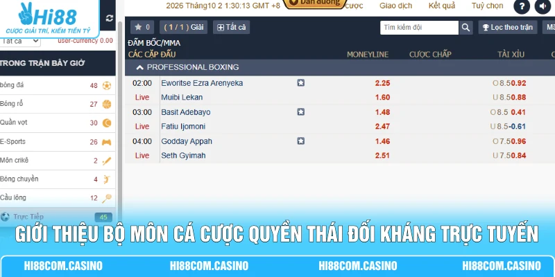 Giới thiệu bộ môn cá cược quyền thái đối kháng trực tuyến