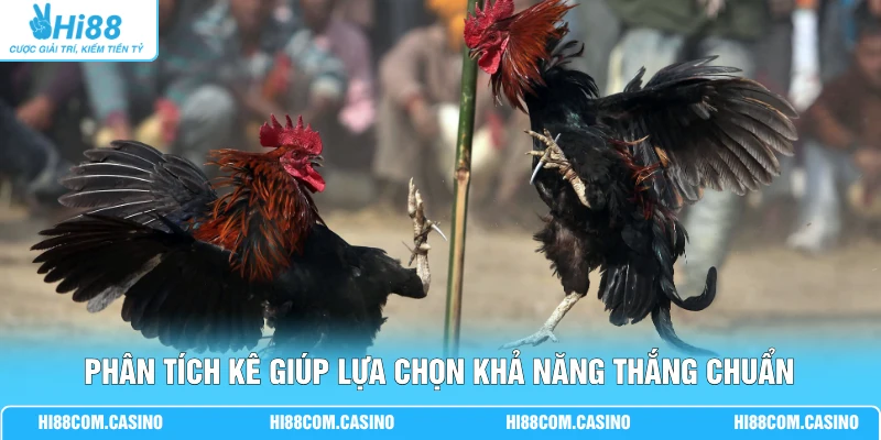 Đá Gà Kiểng - Cập Nhật Các Quy Định Luật Chơi Mới Hiện Nay Phân tích kê giúp lựa chọn khả năng thắng chuẩn